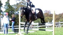 Show jumping and Cross country at novice level