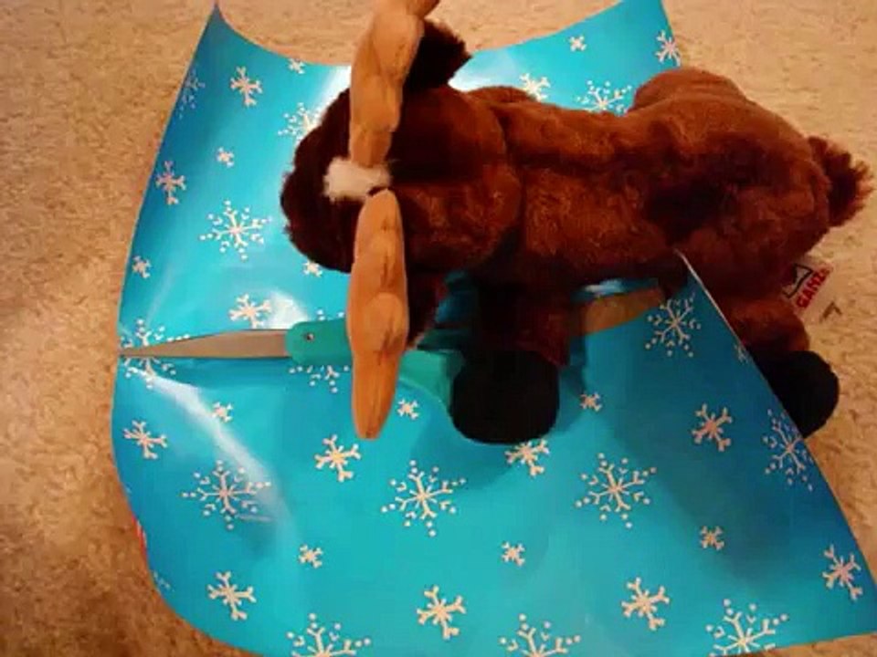 Webkinz Christmas Special