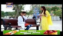 Gudiya Rani Episode 37 - 9 June 2015 - Ary Digital