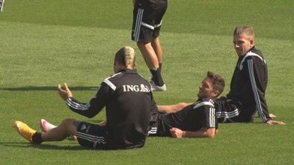 Les Diables Rouges confiants avant le Pays de Galles malgré un Fellaini incertain