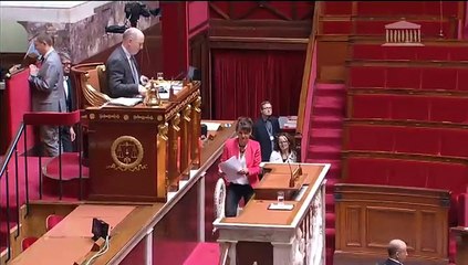 "Nous soutenons cette résolution en faveur de l'investissement qui renforce la construction européenne"