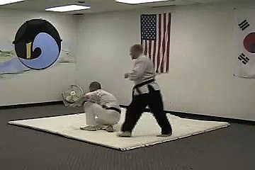 Hapkido Throws