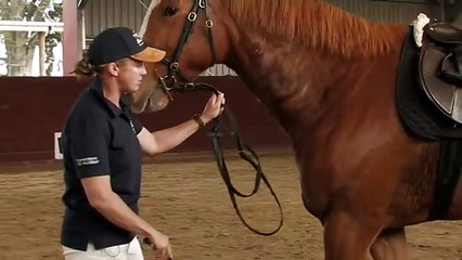 EP# 22 - Habituating a horse to frightening stimuli with "over-shadowing"