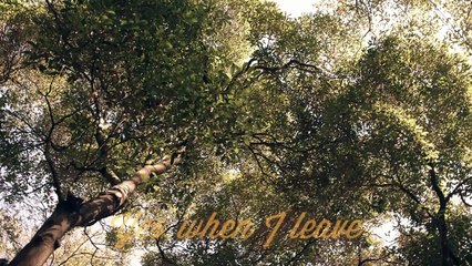 Billie Joe Armstrong & Norah Jones - Long Time Gone [Lyric Video]