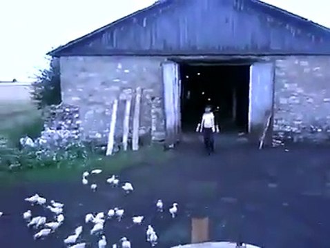 funny vieo haha?syndication=228326