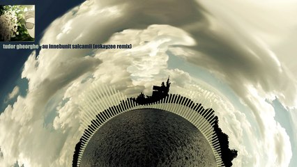 Tudor Gheorghe - Au Innebunit Salcamii (EsKayZee Remix)