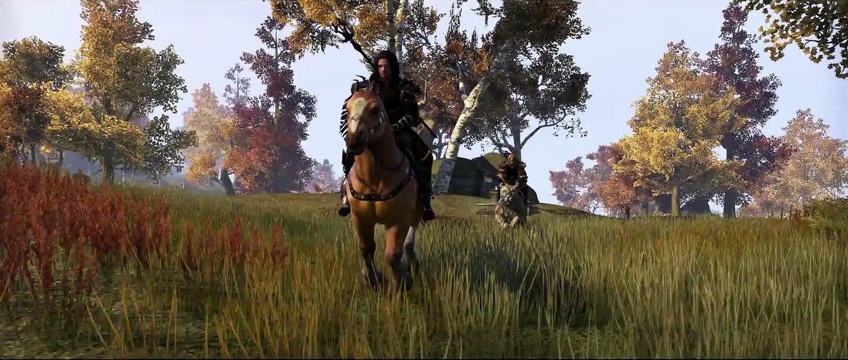 The Elder Scrolls Online: Tamriel Unlimited (PS4) - L’Épopée d’un héros