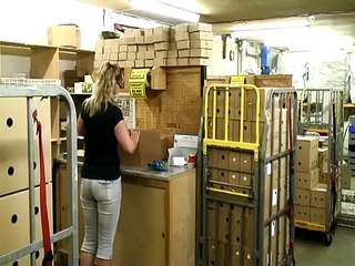 Locusts Direct from the Breeder