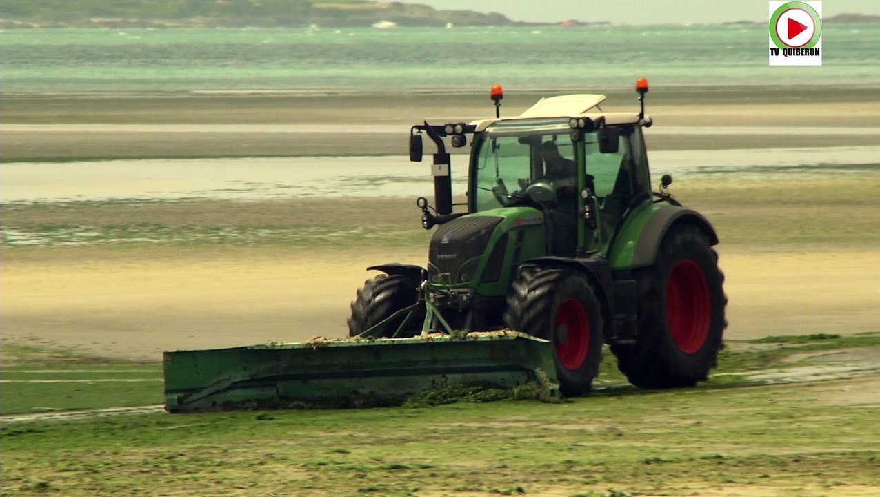 Saint-Michel-en-Greves   |   Retour des algues vertes - Bretagne Télé