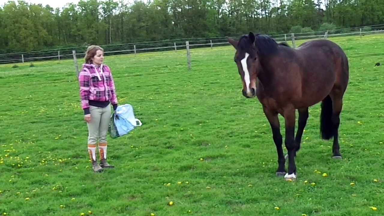 Valino et le sac: 9/06/13