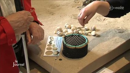 Accessibilité : Biotopia innove pour les malvoyants (Vendée)