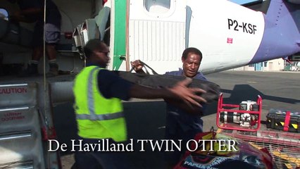 Flying in PNG. Moresby - Kerema