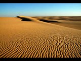 Wüste Großer Sandsee - Wüste Grosse Sandsee - Teil 3 - Great Sand Sea - Ägypten -  Nikbarte.it