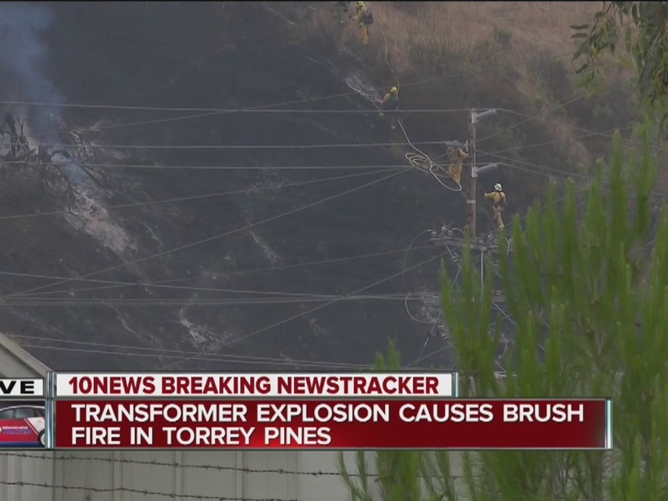 Brush fire breaks out in Sorrento Valley