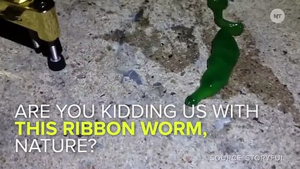 WHAT IS THIS HORRIFYING GREEN SLIMY CREATURE