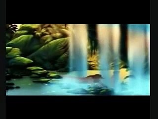 El Rey Leon - Esta Noche Es Para Amar (Español Latino)