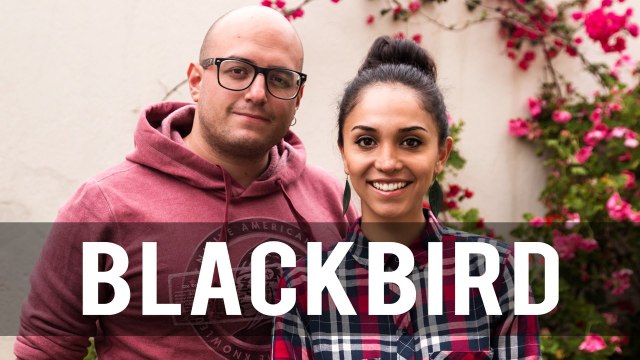 Blackbird - The Beatles (Cover by The Covers)