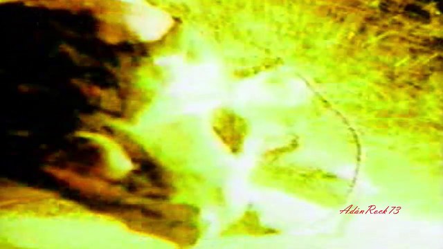 Mercyful Fate - Egypt