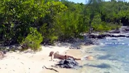 Real Live Mermaid Found near the bank