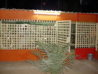Fancy pigeon loft