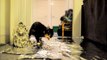 Do Cats Walk On Foil? An Experiment.