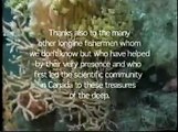 Deep sea Corals of Canada! - Forests Of Coral