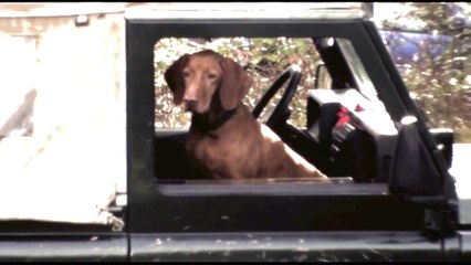 Chasse à courre filmée à cheval !