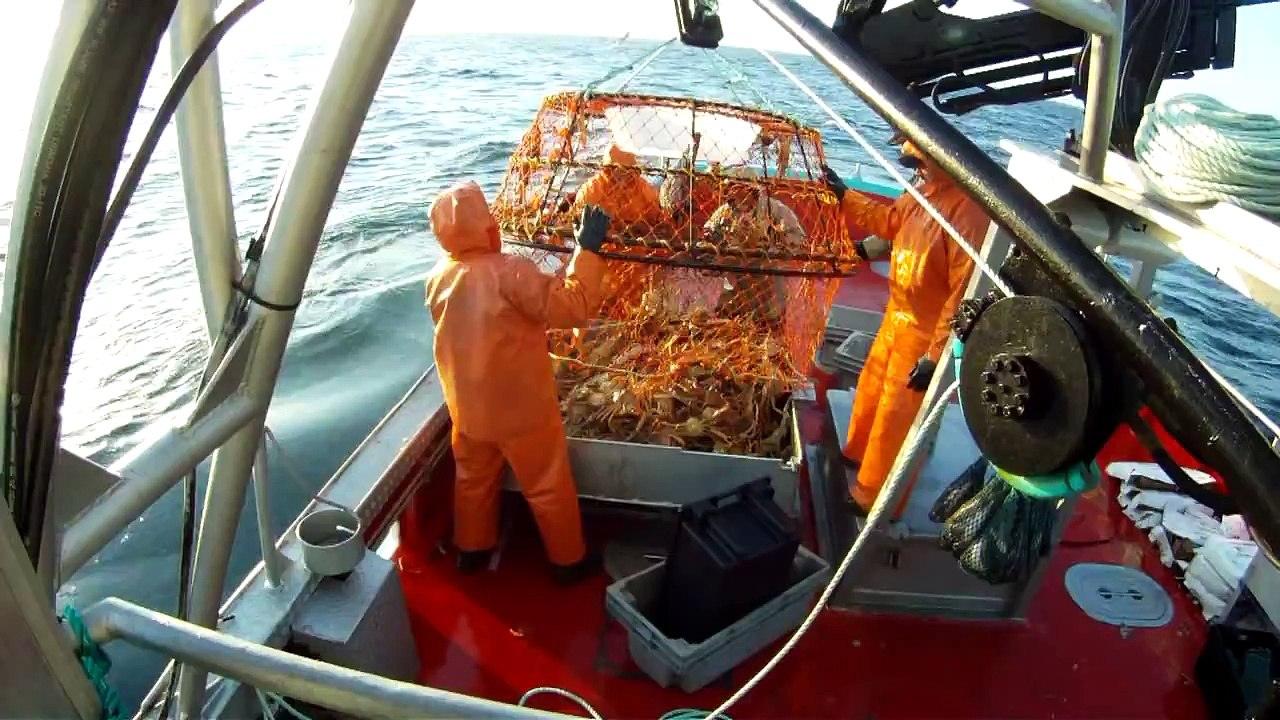 Pêche au Crabe 2013 Shippagan N-B
