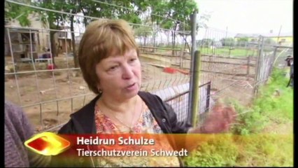 aktiontier, aktion tier TV-Beitrag animal hoarding