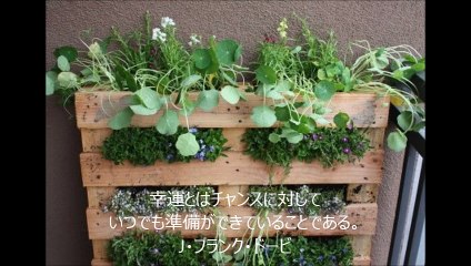 長谷川桜子（慣らし保育アドバイザー）～子どもに読み聞かせたい言葉「J・フランク・ドービ」