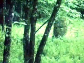 Warriors Of The Forest - He Lives In You