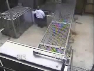 Tai Shan Incarcerated?