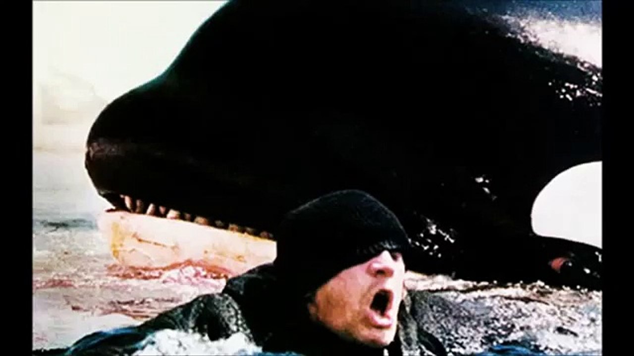 Ataques de Orcas a humanos
