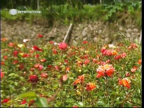 A Alma e a Gente - V #26 - A Rama do Castenheiro (Fundão) - 15 Jul 2007