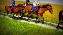 Pferde,Horses,Two days at the lake,Horse Video,Riding,Pferdevideo,Cavalos,말