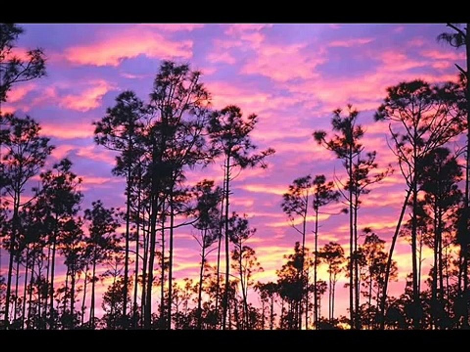 Mehmet Atli - Denge Dile Min