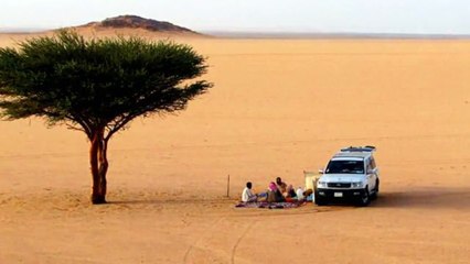 أعجب حيوان لا يأكل ولا يشرب !! شف المقطع