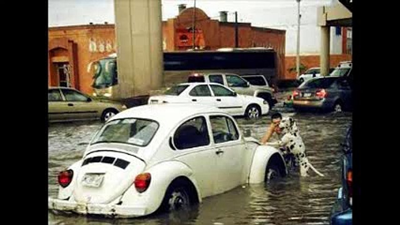 Volkswagen Sedan vocho: Por dónde se mete el agua.