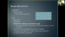 Respiratory: Acute Bronchitis