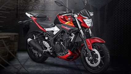 Yamaha MT 25 Street Naked Motorcycle Launched In Indonesia