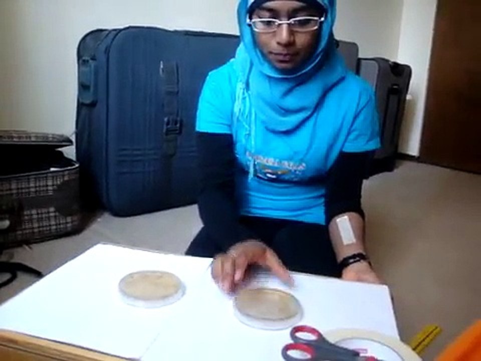 The bacteria growth experiment