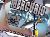 Por que es peligroso el mercurio. Por tu salud