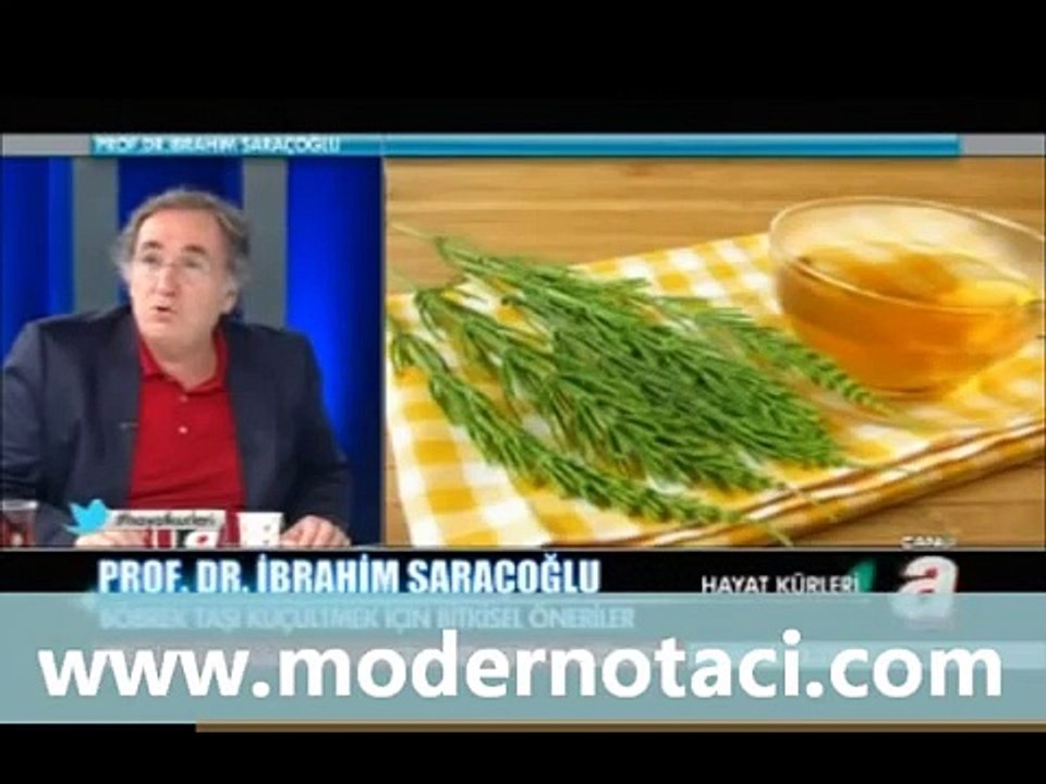 Prof. İbrahim Saracoglu Hayat Kürleri 03 03/19 Böbrek taşı, anemi, Demir Eksiklği