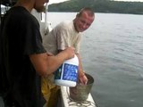 Nasty Chesapeake Bay Blue Crab Bite - Commercial Crabbing