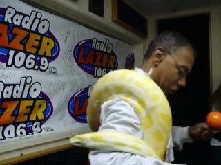 El Circo En El Estudio de Radio Lazer