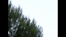 Slow Motion Bats Flying at Dusk 300fps Casio EX-F1 V13221
