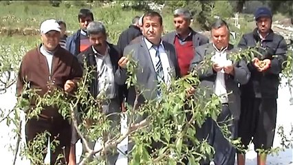 Mersin'de dolu yağışı