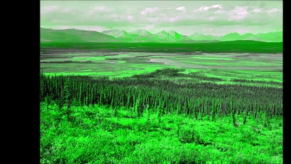 Jean-Louis Murat - Taïga (live) 10 juin 2010