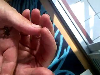 The Worlds Smallest  Baby