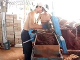 Safido interlocking brick machine (www.mesinbata.com  )